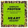 image:imageWonderful Pistachios No Shells Roasted amp Salted Nuts 075 Ounce Bag Pack of 14 Protein Snacks Vegan Snacks OntheGo Individual Snacks for AdultsRoasted  Salted